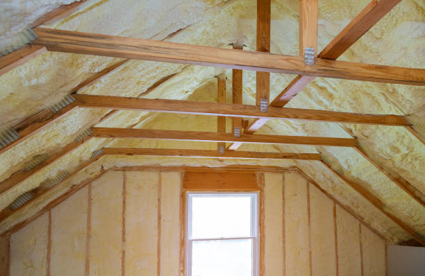 Best Cellulose Insulation  in Cibolo, TX