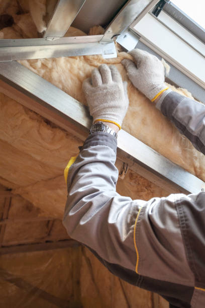 Insulation Replacement Services